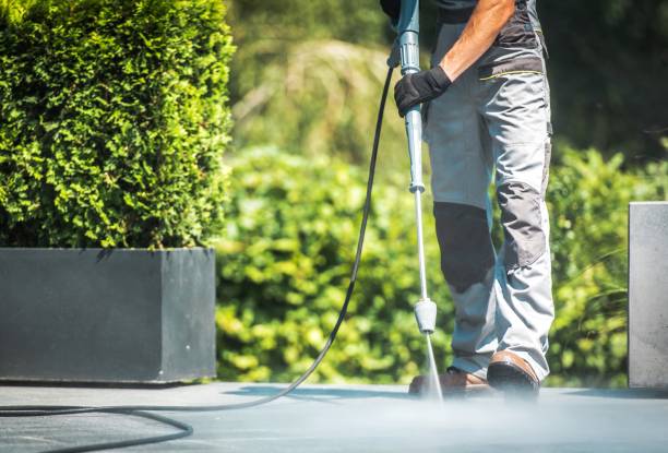 Best Oil Spill Cleanup  in Maysville, NC